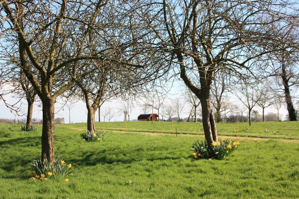 Le Tonneau De Marie Bed and Breakfast Bretteville-du-Grand Caux Esterno foto