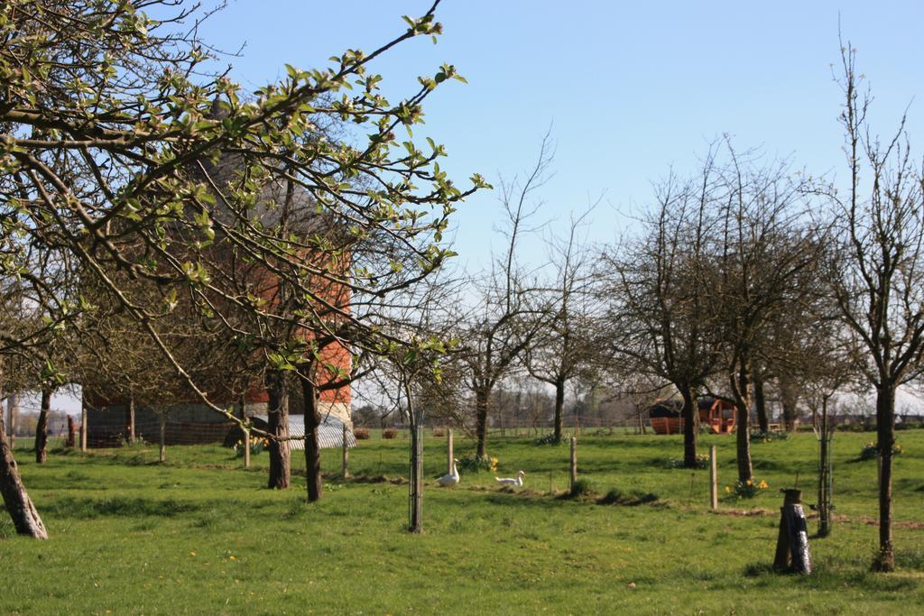 Le Tonneau De Marie Bed and Breakfast Bretteville-du-Grand Caux Esterno foto